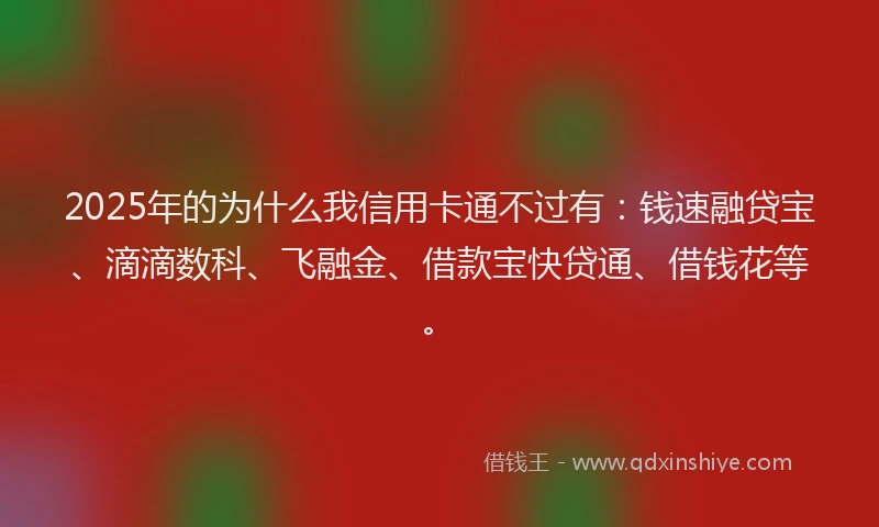 2025年的为什么我信用卡通不过有：钱速融贷宝、滴滴数科、飞融金、借款宝快贷通、借钱花等。