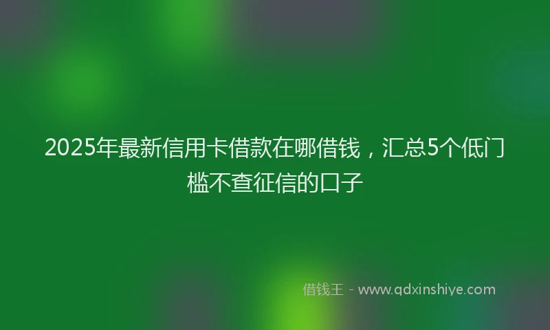 2025年最新信用卡借款在哪借钱，汇总5个低门槛不查征信的口子