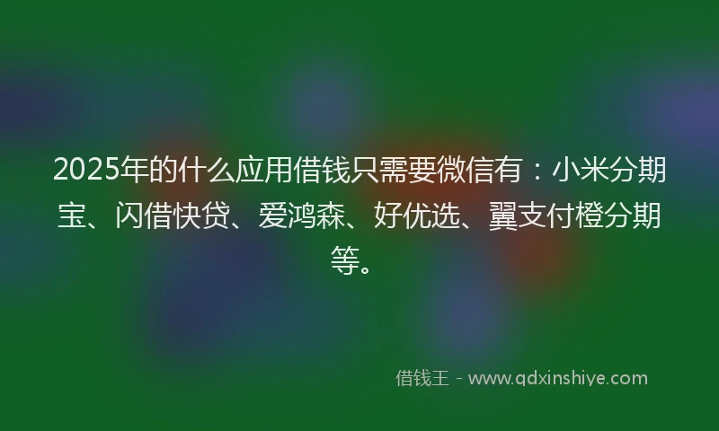 2025年的什么应用借钱只需要微信有：小米分期宝、闪借快贷、爱鸿森、好优选、翼支付橙分期等。
