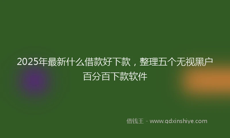 2025年最新什么借款好下款，整理五个无视黑户百分百下款软件