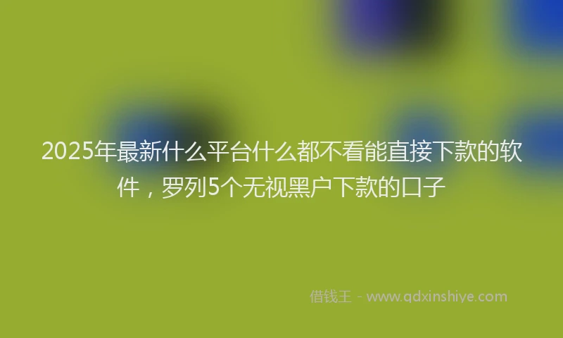 2025年最新什么平台什么都不看能直接下款的软件，罗列5个无视黑户下款的口子