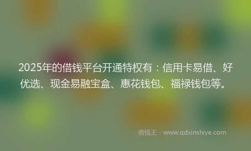 2025年的借钱平台开通特权有：信用卡易借、好优选、现金易融宝盒、惠花钱包、福禄钱包等。