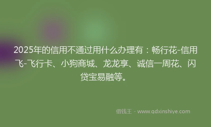 2025年的信用不通过用什么办理有：畅行花-信用飞-飞行卡、小狗商城、龙龙享、诚信一周花、闪贷宝易融等。