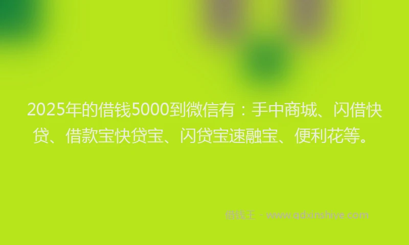 2025年的借钱5000到微信有：手中商城、闪借快贷、借款宝快贷宝、闪贷宝速融宝、便利花等。