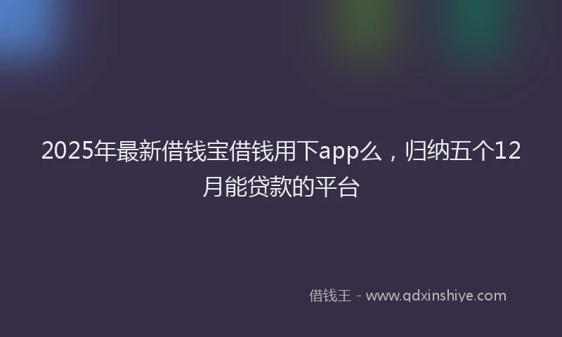 2025年最新借钱宝借钱用下app么，归纳五个12月能贷款的平台