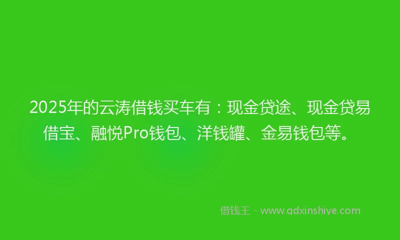 2025年的云涛借钱买车有：现金贷途、现金贷易借宝、融悦Pro钱包、洋钱罐、金易钱包等。