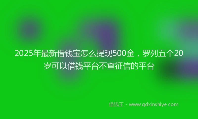 2025年最新借钱宝怎么提现500金，罗列五个20岁可以借钱平台不查征信的平台
