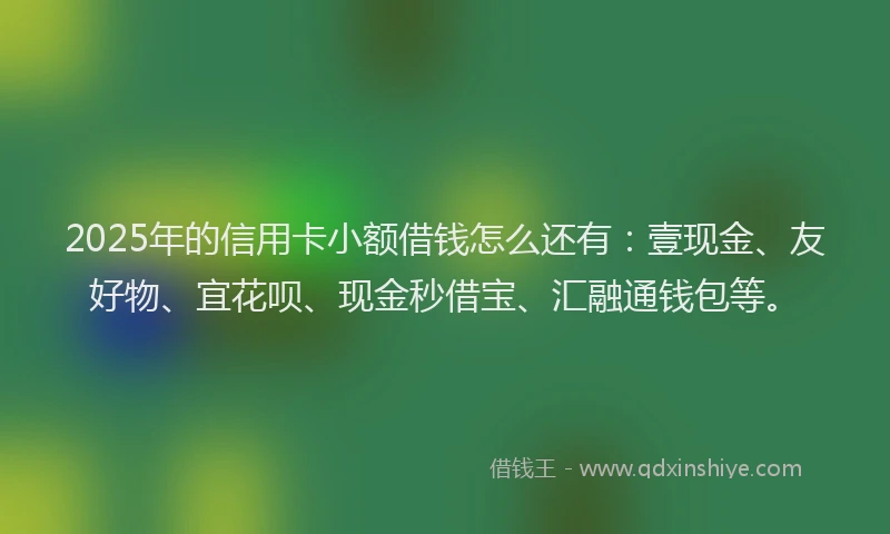 2025年的信用卡小额借钱怎么还有：壹现金、友好物、宜花呗、现金秒借宝、汇融通钱包等。