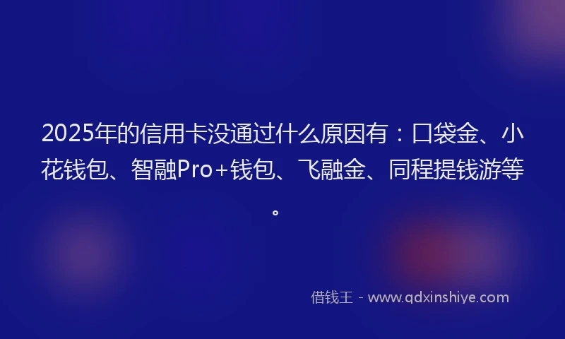 2025年的信用卡没通过什么原因有：口袋金、小花钱包、智融Pro+钱包、飞融金、同程提钱游等。