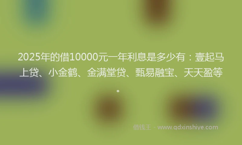 2025年的借10000元一年利息是多少有：壹起马上贷、小金鹤、金满堂贷、甄易融宝、天天盈等。