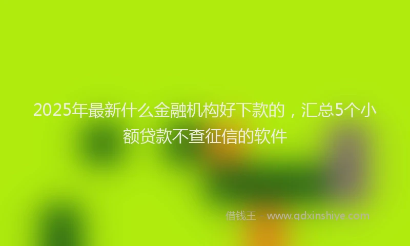 2025年最新什么金融机构好下款的，汇总5个小额贷款不查征信的软件
