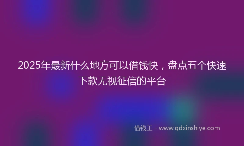2025年最新什么地方可以借钱快，盘点五个快速下款无视征信的平台