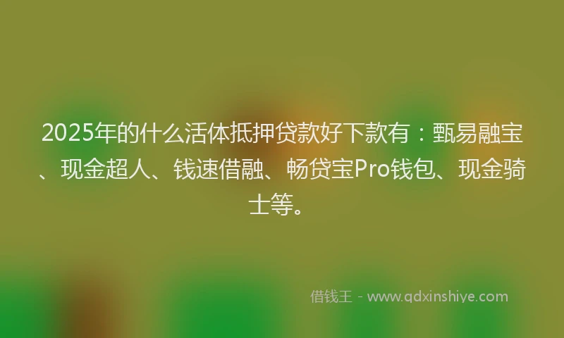 2025年的什么活体抵押贷款好下款有：甄易融宝、现金超人、钱速借融、畅贷宝Pro钱包、现金骑士等。