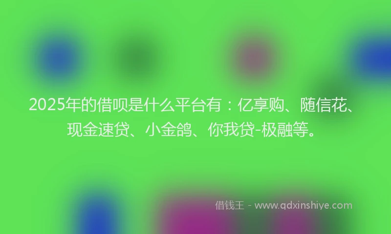 2025年的借呗是什么平台有：亿享购、随信花、现金速贷、小金鸽、你我贷-极融等。