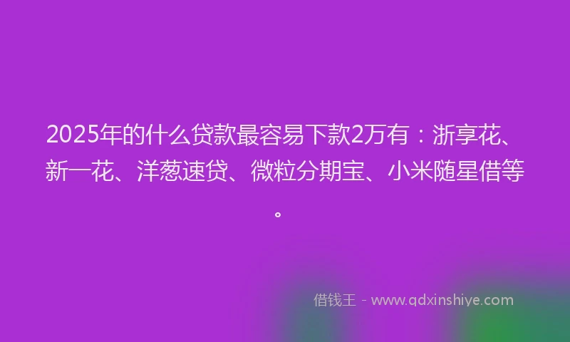 2025年的什么贷款最容易下款2万有：浙享花、新一花、洋葱速贷、微粒分期宝、小米随星借等。
