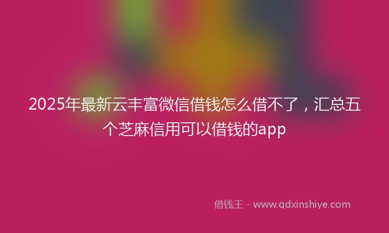 2025年最新云丰富微信借钱怎么借不了，汇总五个芝麻信用可以借钱的app