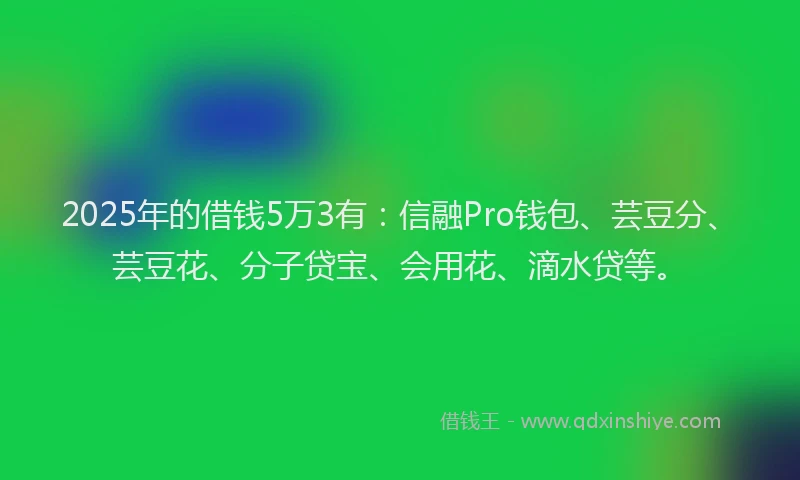2025年的借钱5万3有：信融Pro钱包、芸豆分、芸豆花、分子贷宝、会用花、滴水贷等。