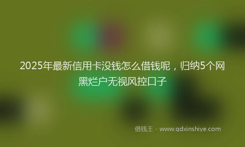 2025年最新信用卡没钱怎么借钱呢，归纳5个网黑烂户无视风控口子