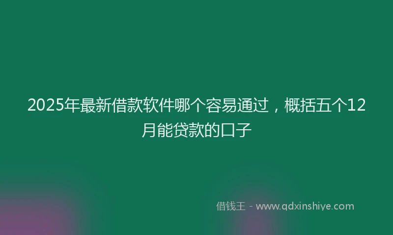 2025年最新借款软件哪个容易通过，概括五个12月能贷款的口子