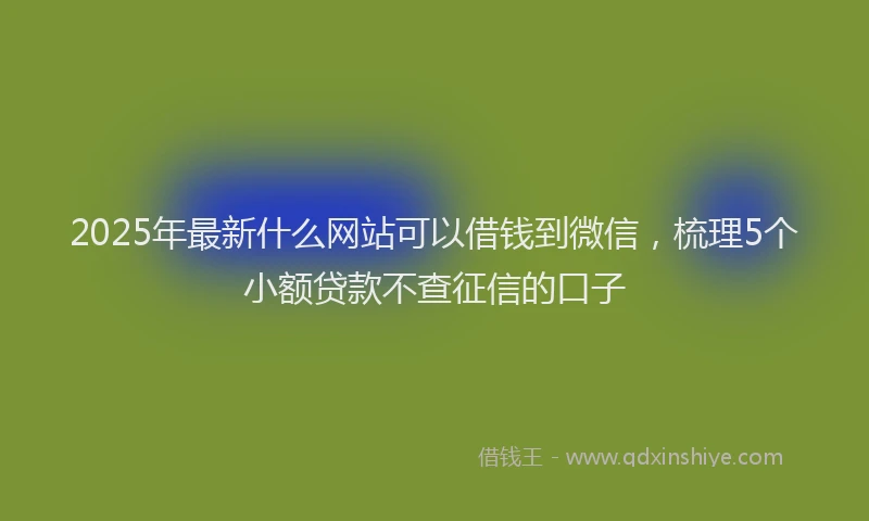 2025年最新什么网站可以借钱到微信，梳理5个小额贷款不查征信的口子