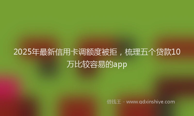 2025年最新信用卡调额度被拒，梳理五个贷款10万比较容易的app