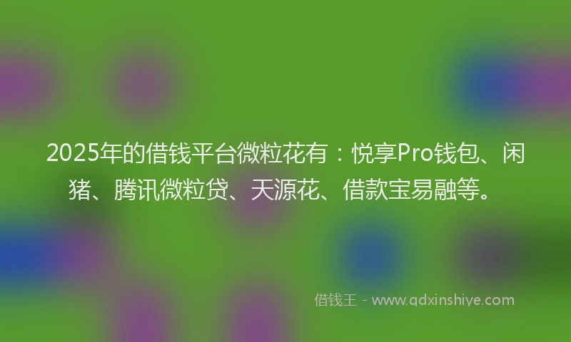 2025年的借钱平台微粒花有：悦享Pro钱包、闲猪、腾讯微粒贷、天源花、借款宝易融等。