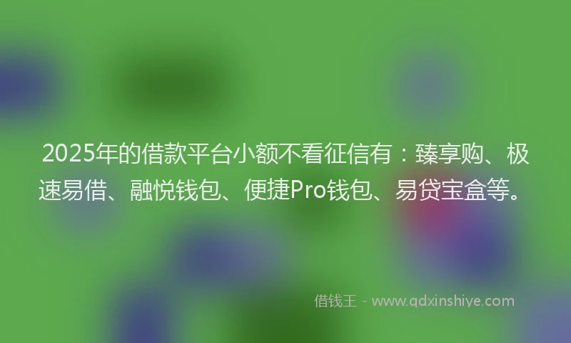 2025年的借款平台小额不看征信有：臻享购、极速易借、融悦钱包、便捷Pro钱包、易贷宝盒等。