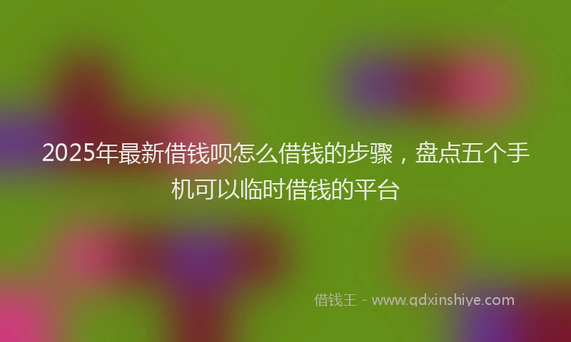 2025年最新借钱呗怎么借钱的步骤，盘点五个手机可以临时借钱的平台