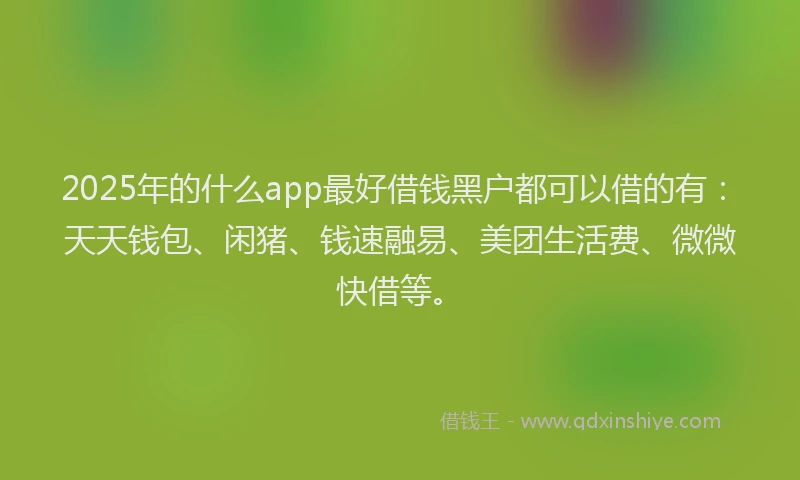 2025年的什么app最好借钱黑户都可以借的有：天天钱包、闲猪、钱速融易、美团生活费、微微快借等。
