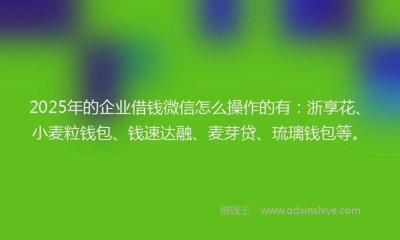 2025年的企业借钱微信怎么操作的有：浙享花、小麦粒钱包、钱速达融、麦芽贷、琉璃钱包等。