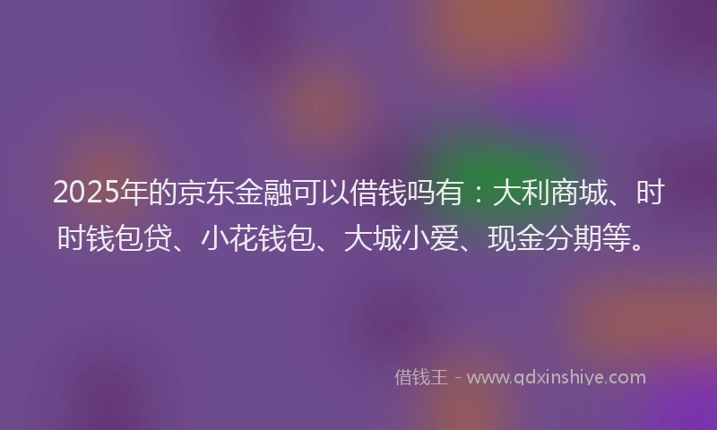 2025年的京东金融可以借钱吗有：大利商城、时时钱包贷、小花钱包、大城小爱、现金分期等。