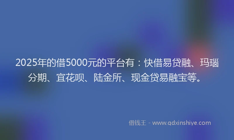 2025年的借5000元的平台有：快借易贷融、玛瑙分期、宜花呗、陆金所、现金贷易融宝等。
