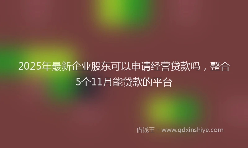 2025年最新企业股东可以申请经营贷款吗，整合5个11月能贷款的平台