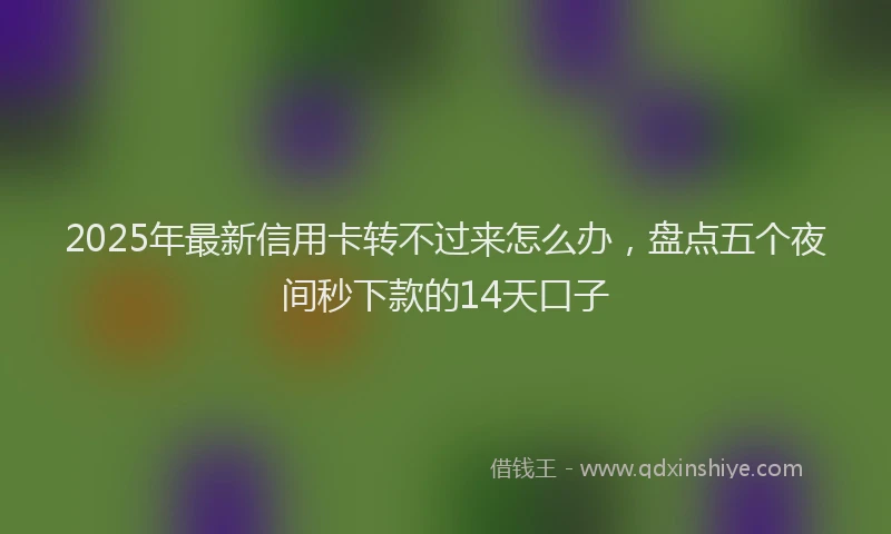 2025年最新信用卡转不过来怎么办，盘点五个夜间秒下款的14天口子