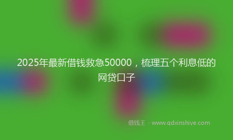 2025年最新借钱救急50000，梳理五个利息低的网贷口子