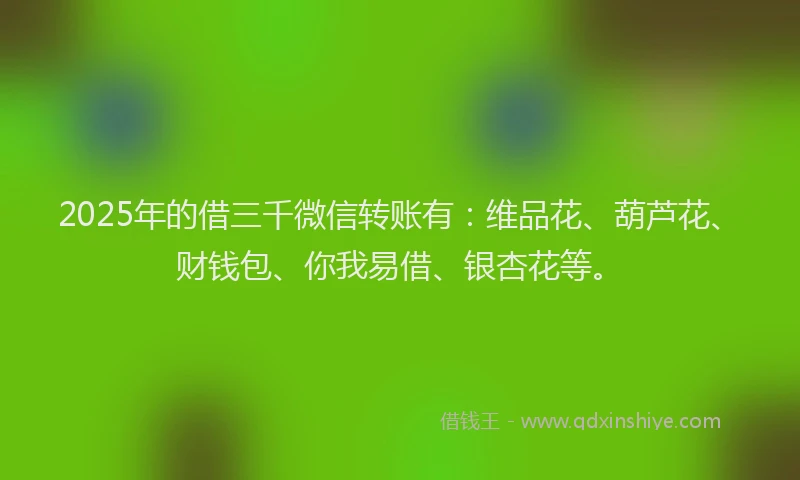 2025年的借三千微信转账有：维品花、葫芦花、财钱包、你我易借、银杏花等。