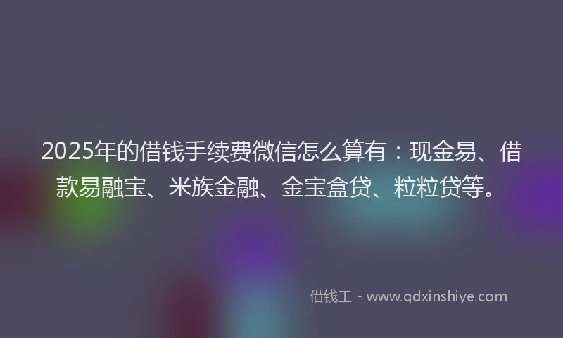 2025年的借钱手续费微信怎么算有：现金易、借款易融宝、米族金融、金宝盒贷、粒粒贷等。