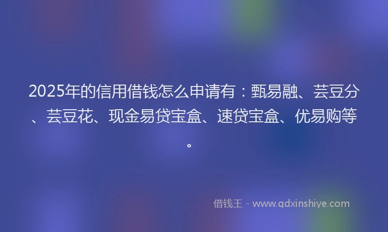 2025年的信用借钱怎么申请有：甄易融、芸豆分、芸豆花、现金易贷宝盒、速贷宝盒、优易购等。