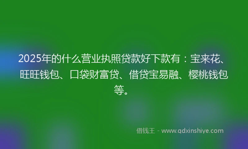 2025年的什么营业执照贷款好下款有：宝来花、旺旺钱包、口袋财富贷、借贷宝易融、樱桃钱包等。