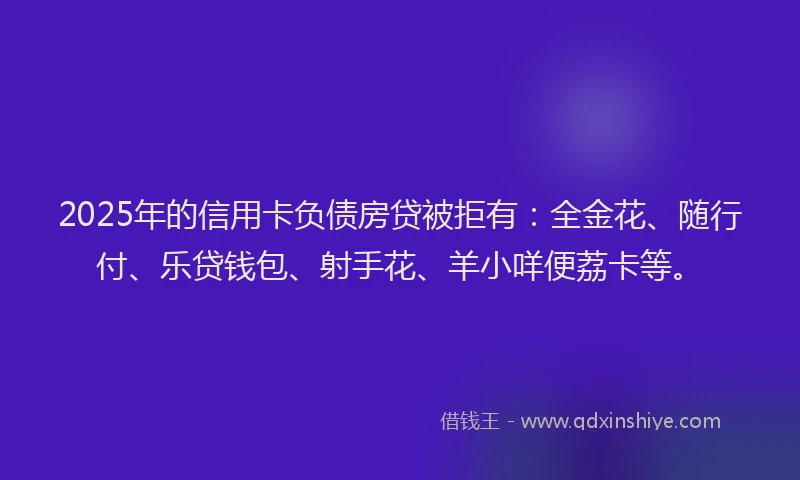 2025年的信用卡负债房贷被拒有：全金花、随行付、乐贷钱包、射手花、羊小咩便荔卡等。