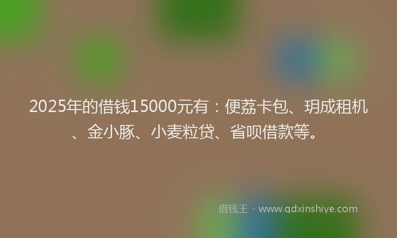 2025年的借钱15000元有：便荔卡包、玥成租机、金小豚、小麦粒贷、省呗借款等。