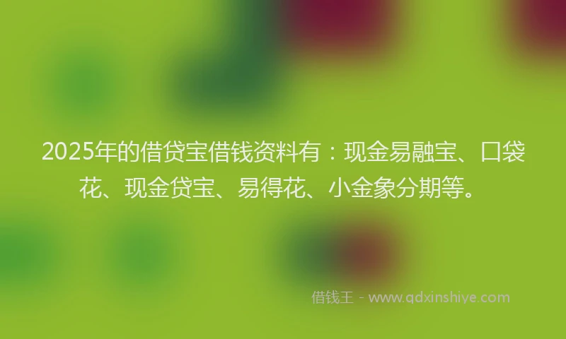 2025年的借贷宝借钱资料有：现金易融宝、口袋花、现金贷宝、易得花、小金象分期等。