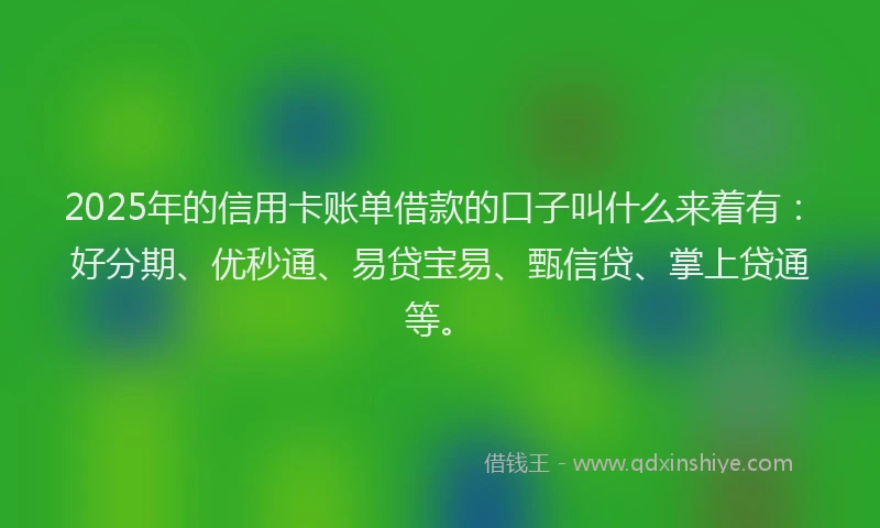2025年的信用卡账单借款的口子叫什么来着有：好分期、优秒通、易贷宝易、甄信贷、掌上贷通等。