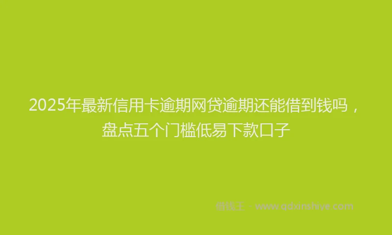 2025年最新信用卡逾期网贷逾期还能借到钱吗，盘点五个门槛低易下款口子