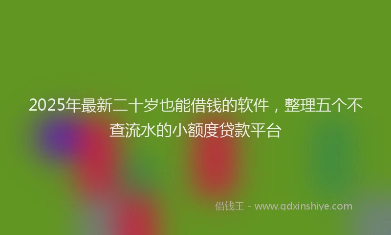 2025年最新二十岁也能借钱的软件，整理五个不查流水的小额度贷款平台