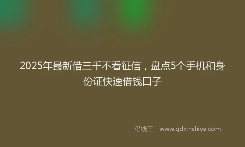 2025年最新借三千不看征信，盘点5个手机和身份证快速借钱口子