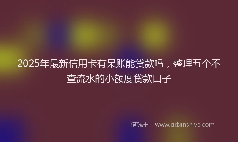 2025年最新信用卡有呆账能贷款吗，整理五个不查流水的小额度贷款口子
