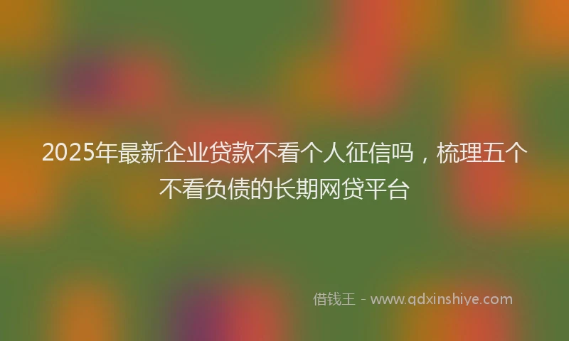2025年最新企业贷款不看个人征信吗，梳理五个不看负债的长期网贷平台