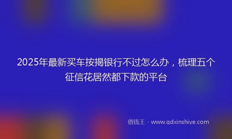 2025年最新买车按揭银行不过怎么办，梳理五个征信花居然都下款的平台