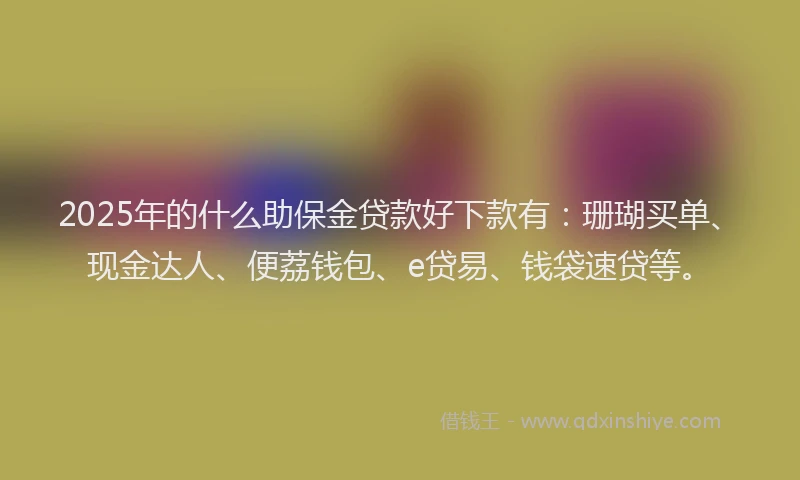 2025年的什么助保金贷款好下款有：珊瑚买单、现金达人、便荔钱包、e贷易、钱袋速贷等。